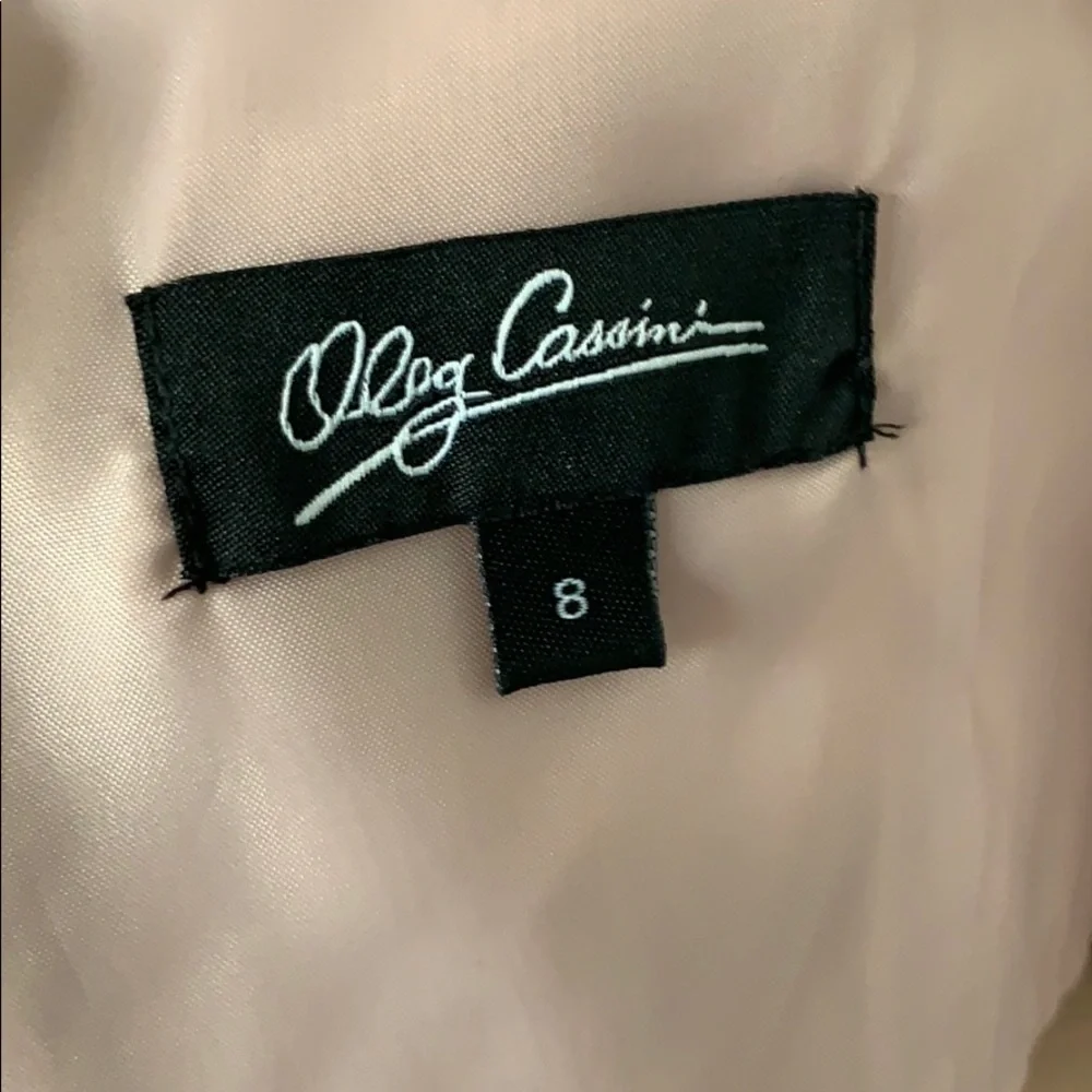 Oleg Cassini Metallic Foil Chiffon Maxi Dress - 8